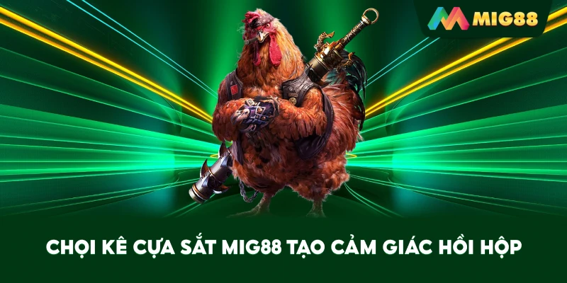 Chọi Kê Cựa Sắt MIG88 tạo cảm giác hồi hộp
