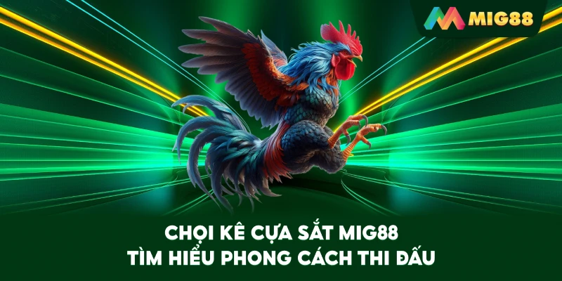 Chọi Kê Cựa Sắt MIG88 tìm hiểu phong cách thi đấu