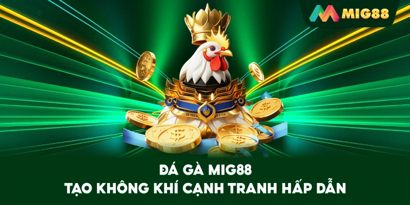 Đá Gà MIG88 tạo không khí cạnh tranh hấp dẫn