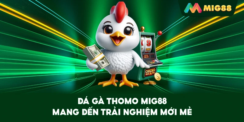 Đá Gà MIG88 mang đến những trận đấu giàu cảm xúc