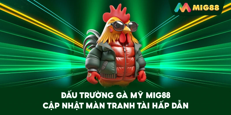 Đấu Trường Gà Mỹ MIG88 cập nhật màn tranh tài hấp dẫn